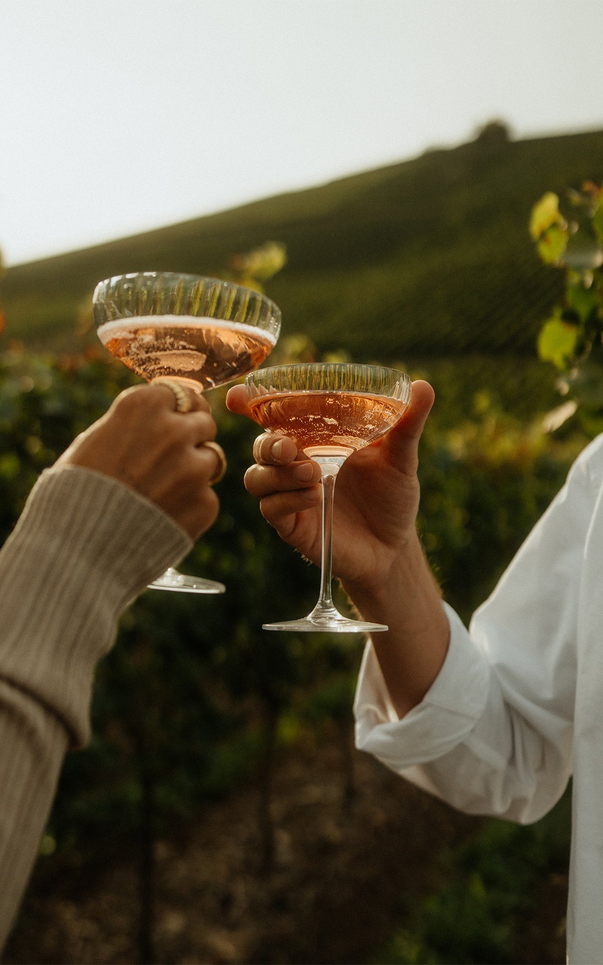 Rosé Vita Sekt
