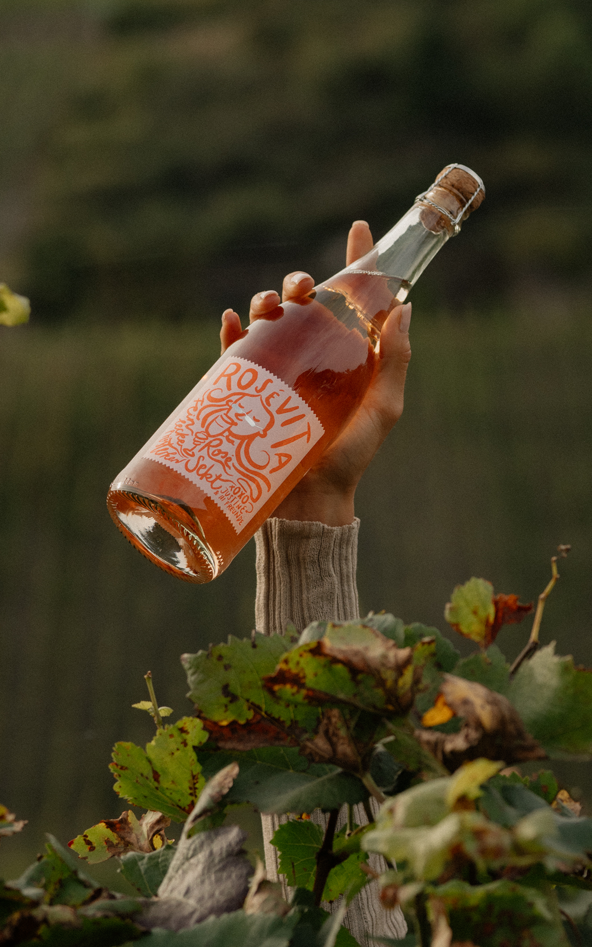 Rosé Vita Sekt